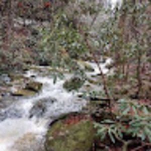 Meet your Posher, Shelaine